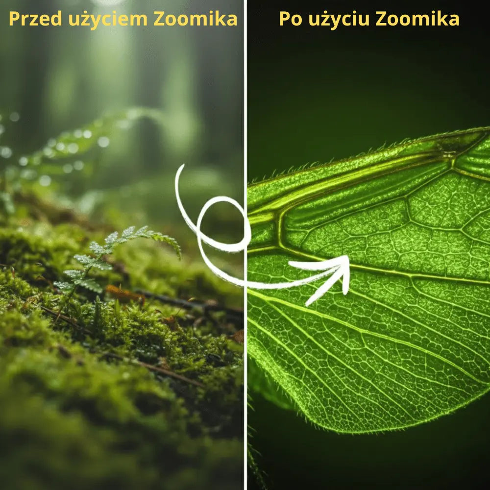 Przed i po użyciu – zbliżenie struktury liścia